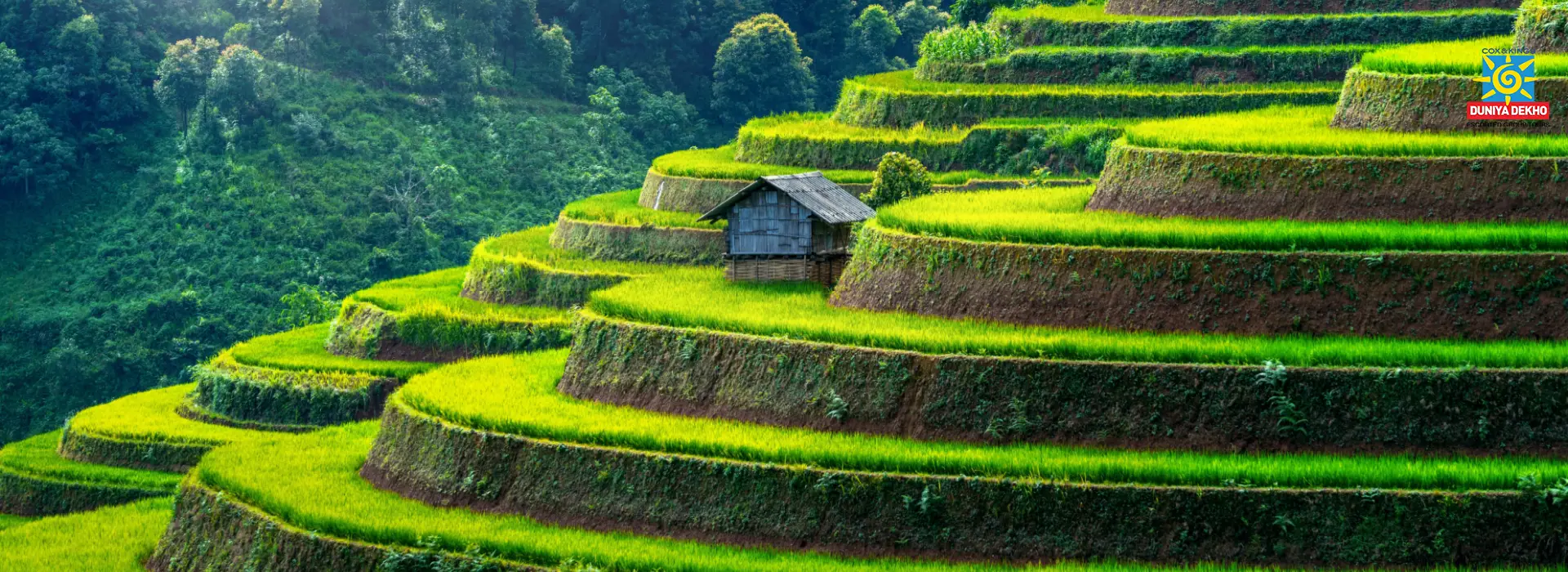 Duniya Dekho Soulful Vietnam